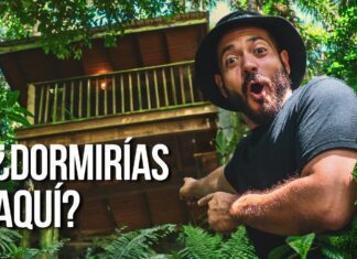 ¡Un hotel en la cima de los árboles!