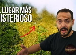 Especial para los padres, el viaje que siempre soñé con papá